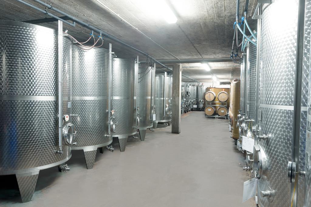 Pension Und Weingut Moselblick Brauneberg Exterior photo