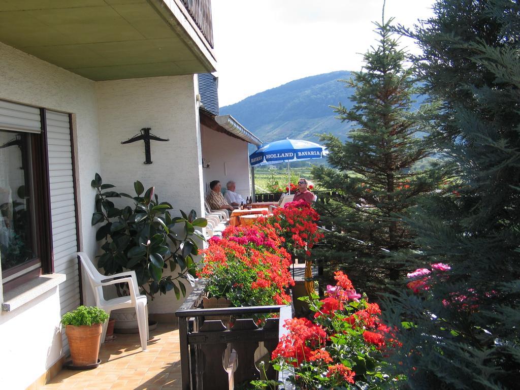 Pension Und Weingut Moselblick Brauneberg Exterior photo